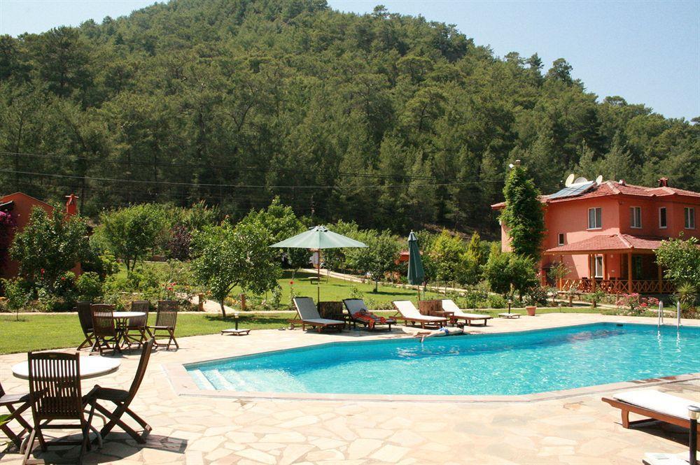 Dalya Life Göcek Facilidades foto